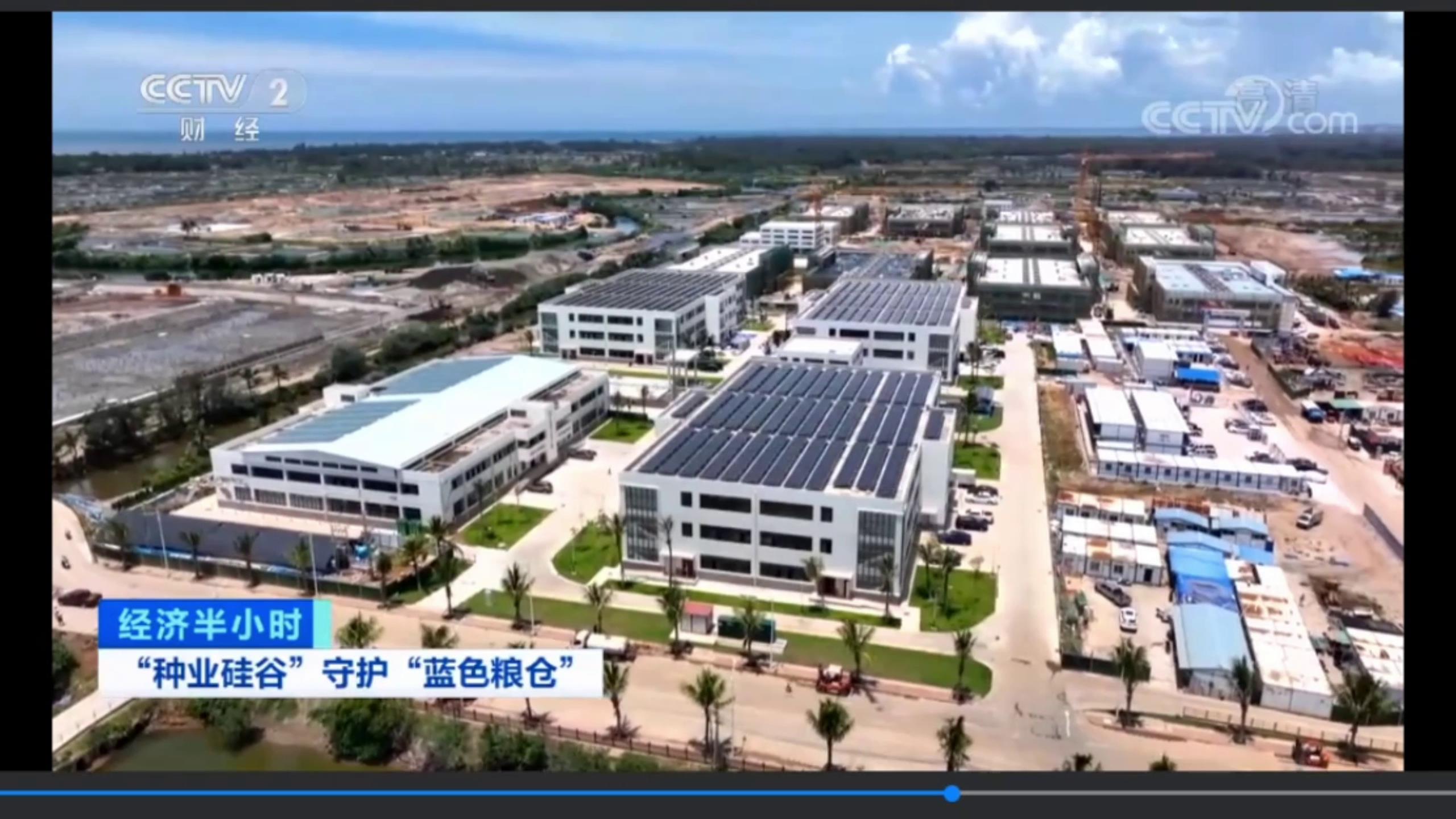 經(jīng)濟半小時——“種業(yè)硅谷”守護”藍色糧倉“
